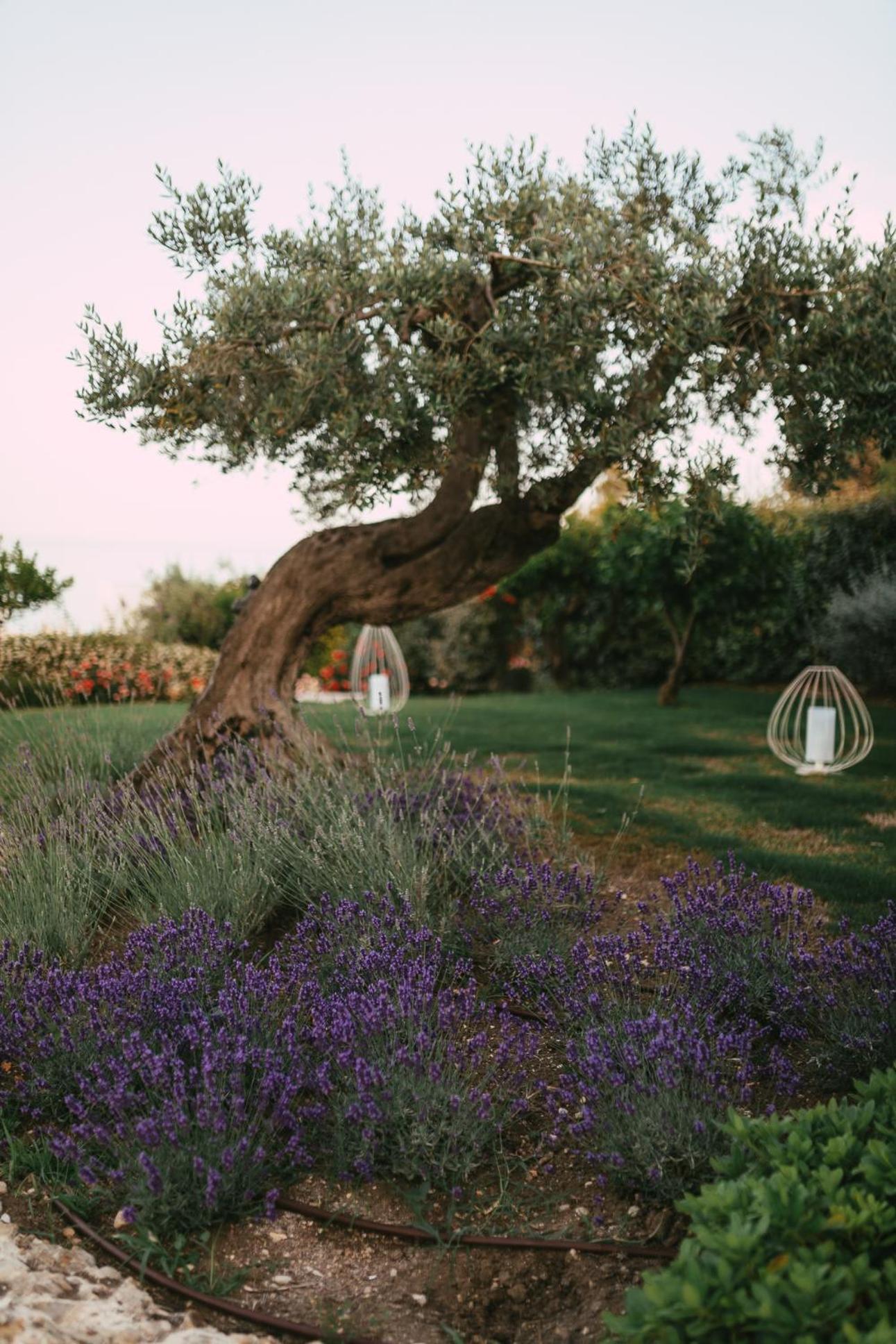 Baia Delphis Resort Vasto Exterior foto