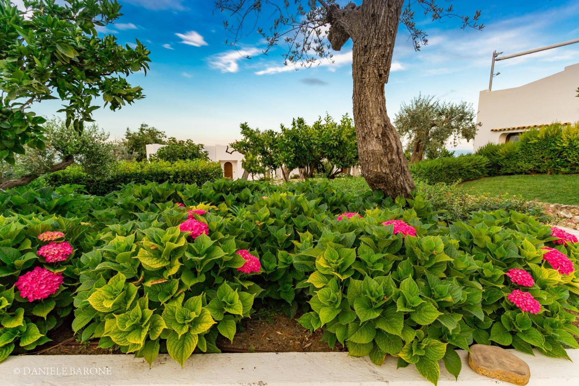 Baia Delphis Resort Vasto Exterior foto